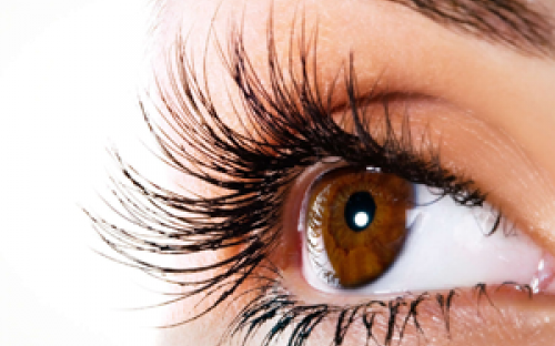 Ocular